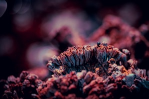 A close-up of textured art revealing intricate layers and depth.