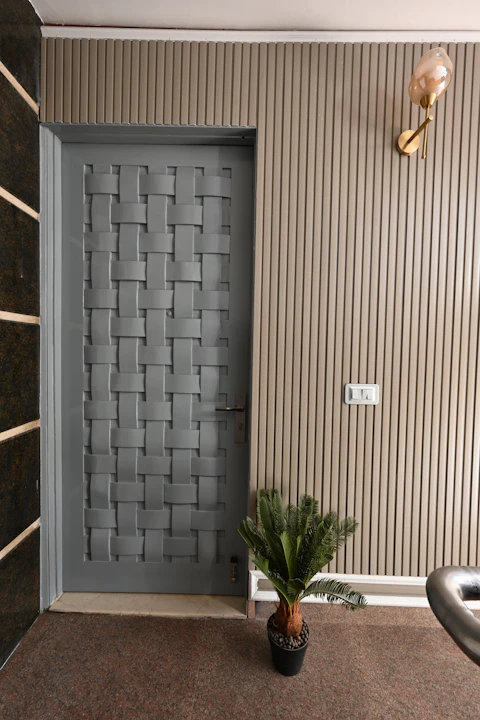 a potted plant sitting in front of a door