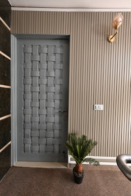 A modern interior door with a woven pattern design positioned next to a ribbed beige wall. There is a small potted plant at the base of the wall and a light fixture with a decorative bulb mounted above. The area has a carpeted floor and a light switch is visible on the wall.