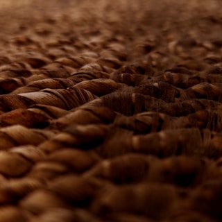 A close-up view of a textured surface featuring intertwined, dark brown fibers. The pattern resembles a woven or braided design, likely made from natural materials such as wicker or jute. The image has a shallow depth of field, with the foreground in focus and the background gradually blurring.