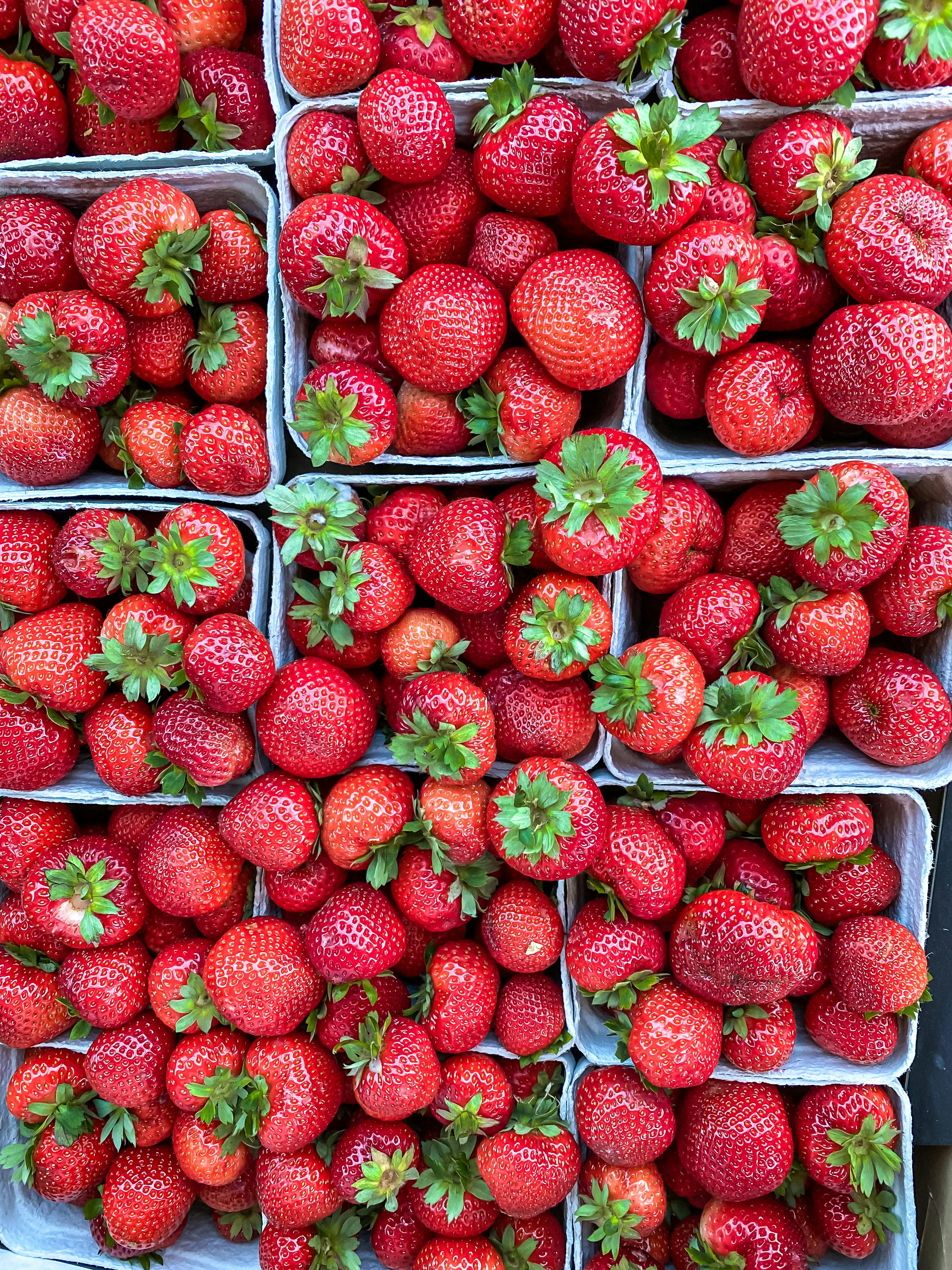 Fresh Strawberries