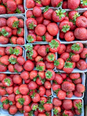 Colorful assortment of berries in small baskets ready for delivery.