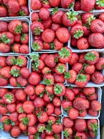A basket brimming with plump berries and cherries freshly gathered from the farm.