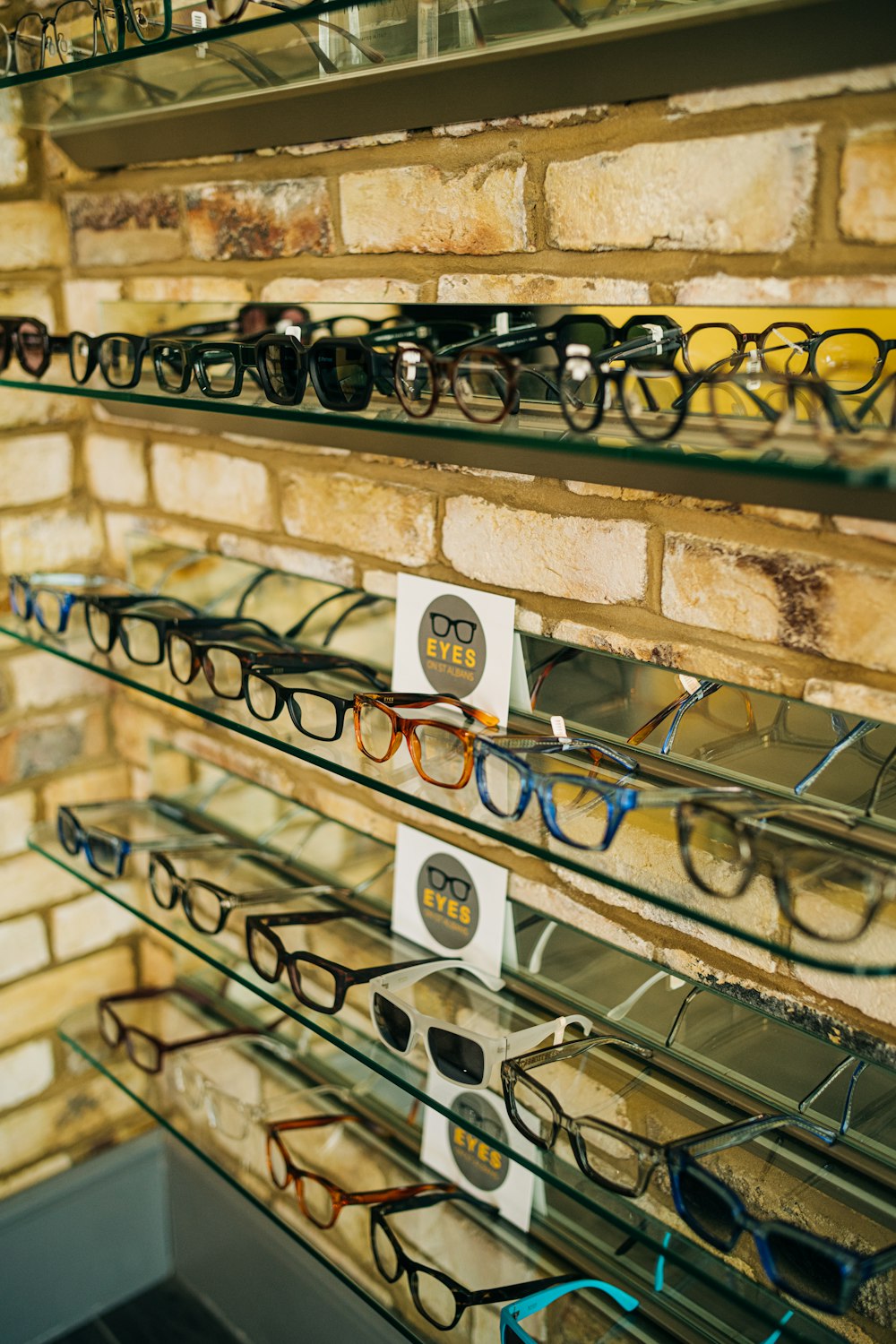 a display case with many pairs of glasses