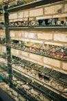 A display of modern eyeglass frames arranged neatly on shelves in a bright store interior.