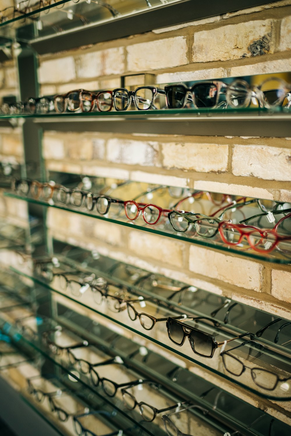 a display case with many pairs of glasses