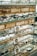 A display of various eyeglasses is arranged neatly on shelves set against a brick wall. The shelves are made of glass, reflecting light and displaying multiple styles and colors of frames. There are informational cards placed among the glasses featuring the word 'EYES' alongside a simple graphic of eyeglasses.