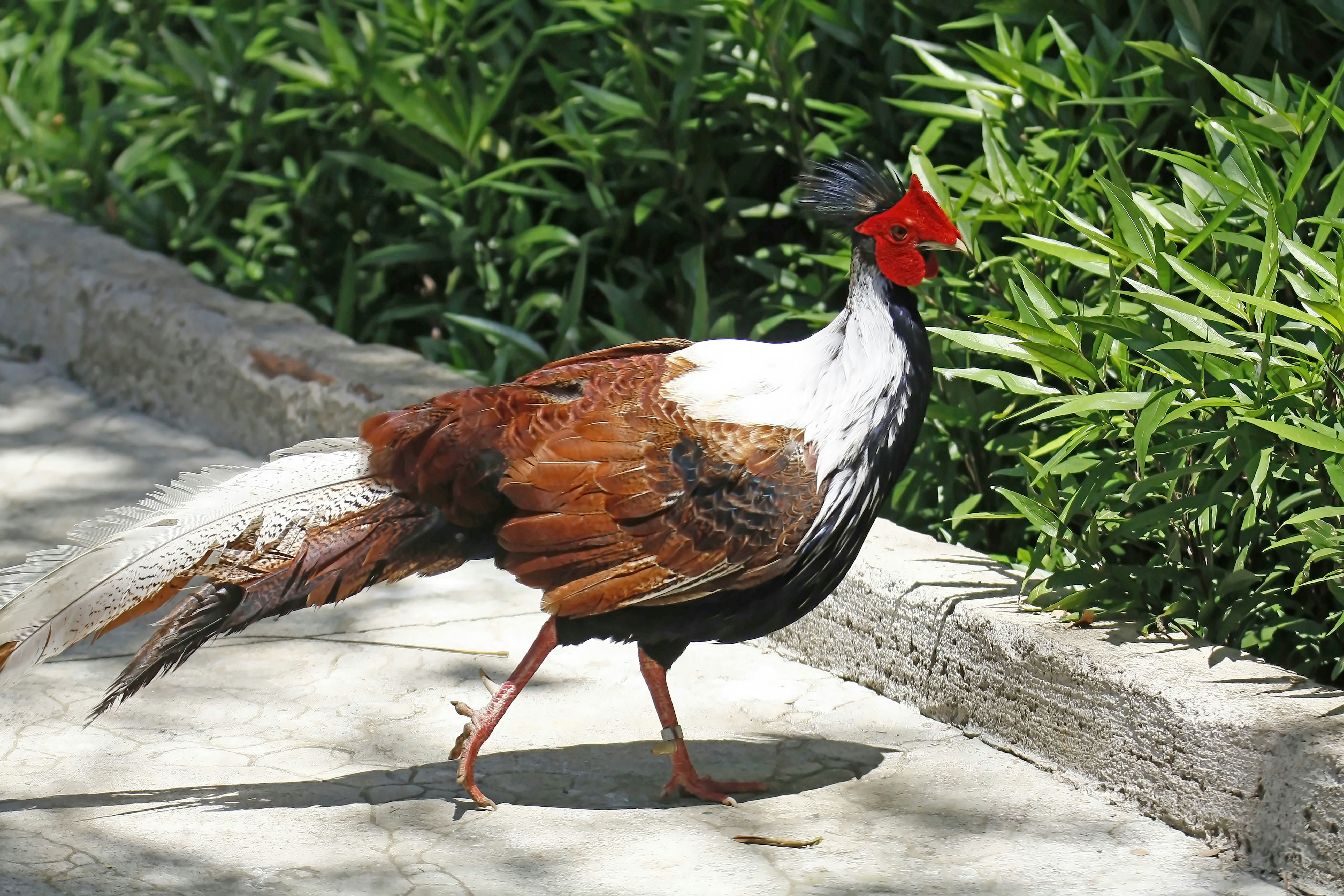 Photo by sylvester_123