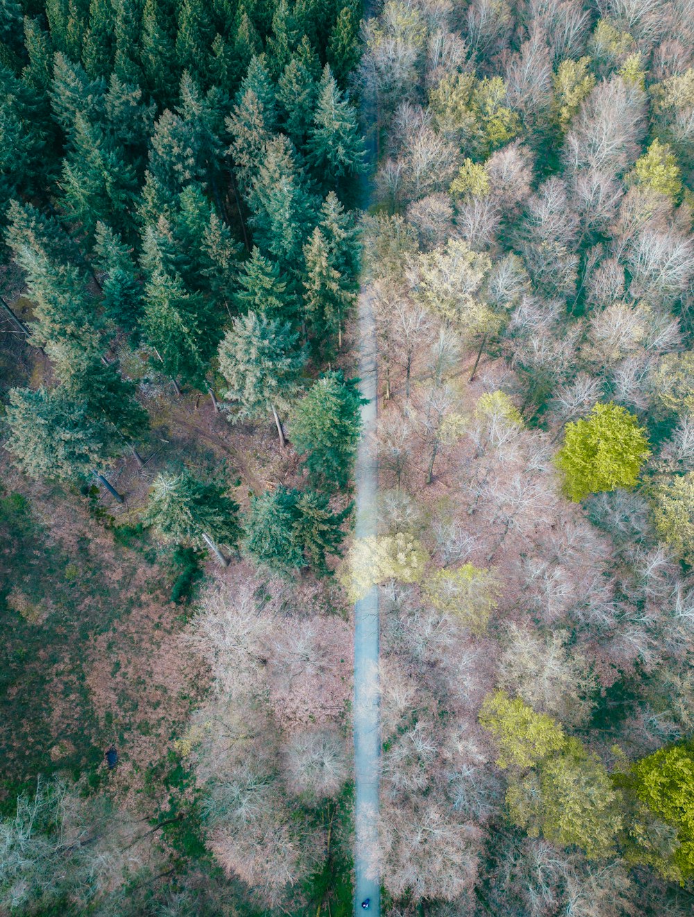 an aerial view of a road surrounded by trees