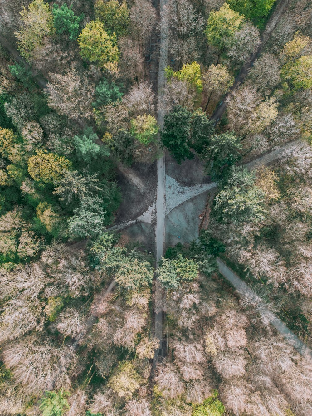 an aerial view of a wooded area with trees