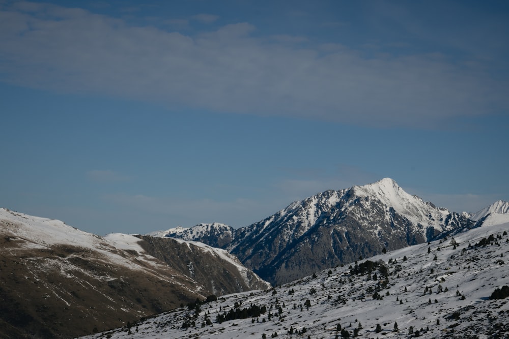 a snowy mountain range with a few trees on it