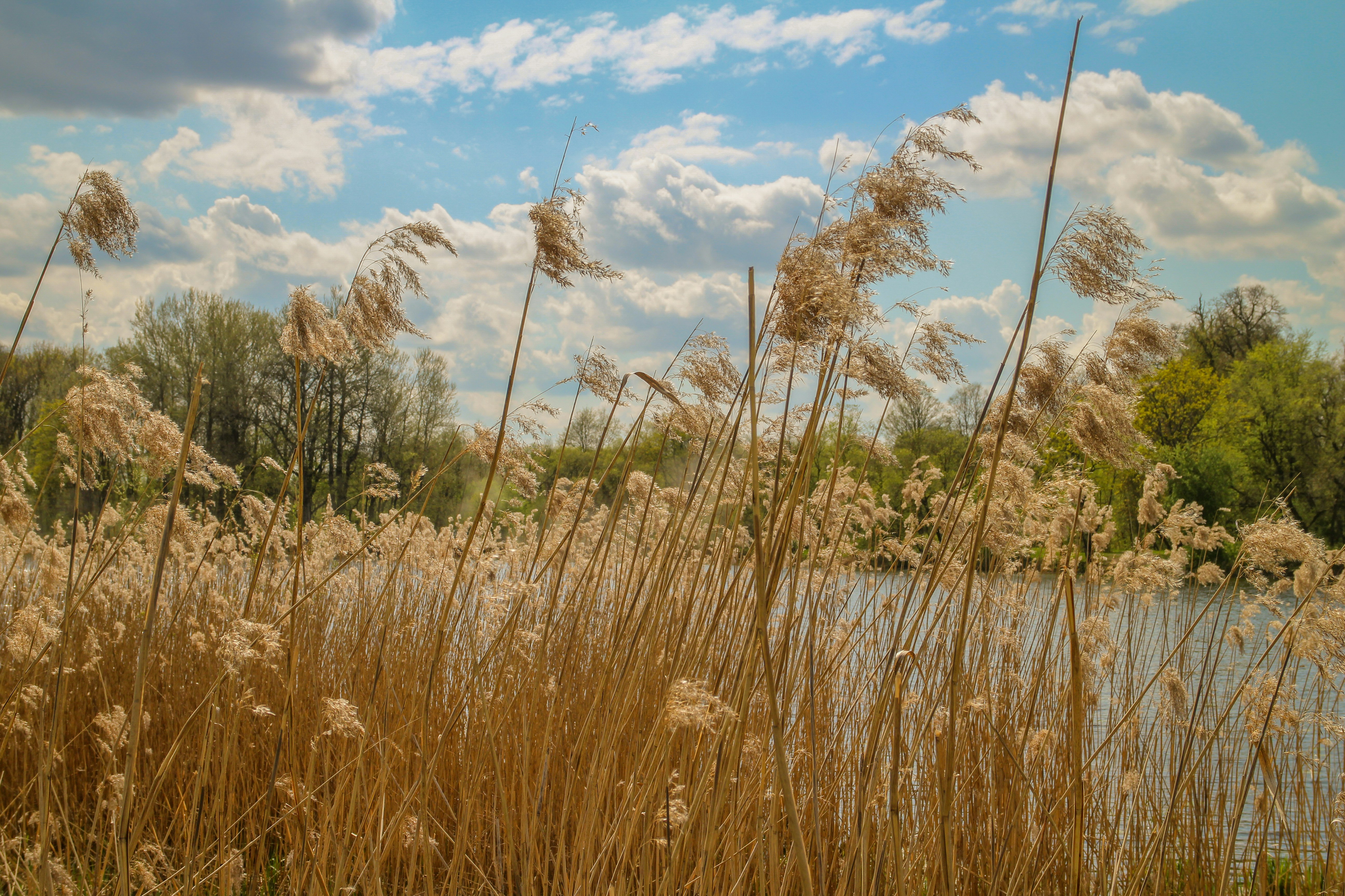 Everything is ripe for disruption