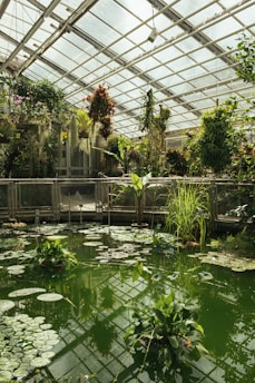 A greenhouse environment featuring a lush and vibrant array of plants hanging from the ceiling and around a large pond filled with lily pads. Sunlight filters through the glass roof, illuminating the diverse greenery and creating reflections in the pond.