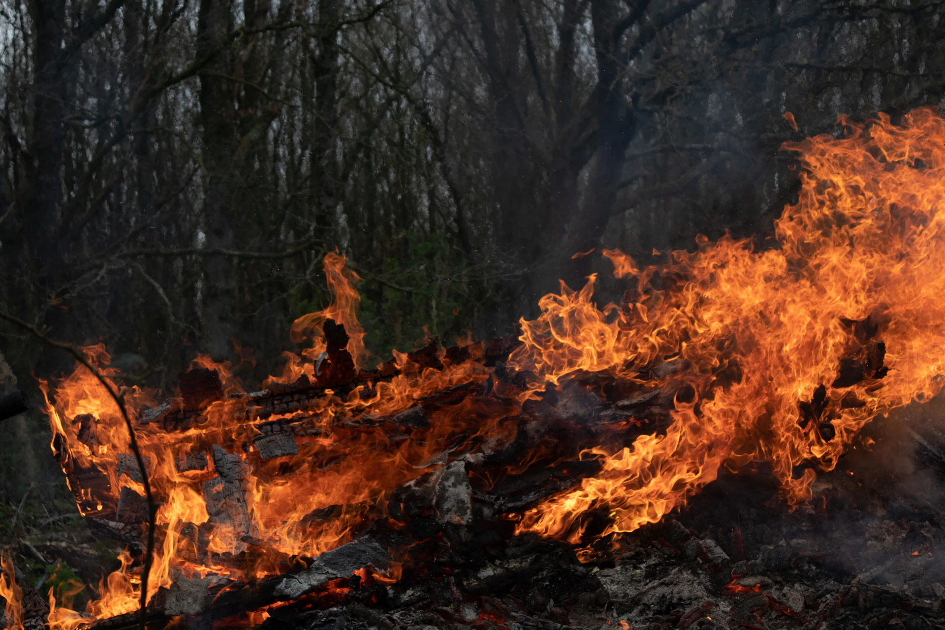 a fire blazing in the middle of a forest