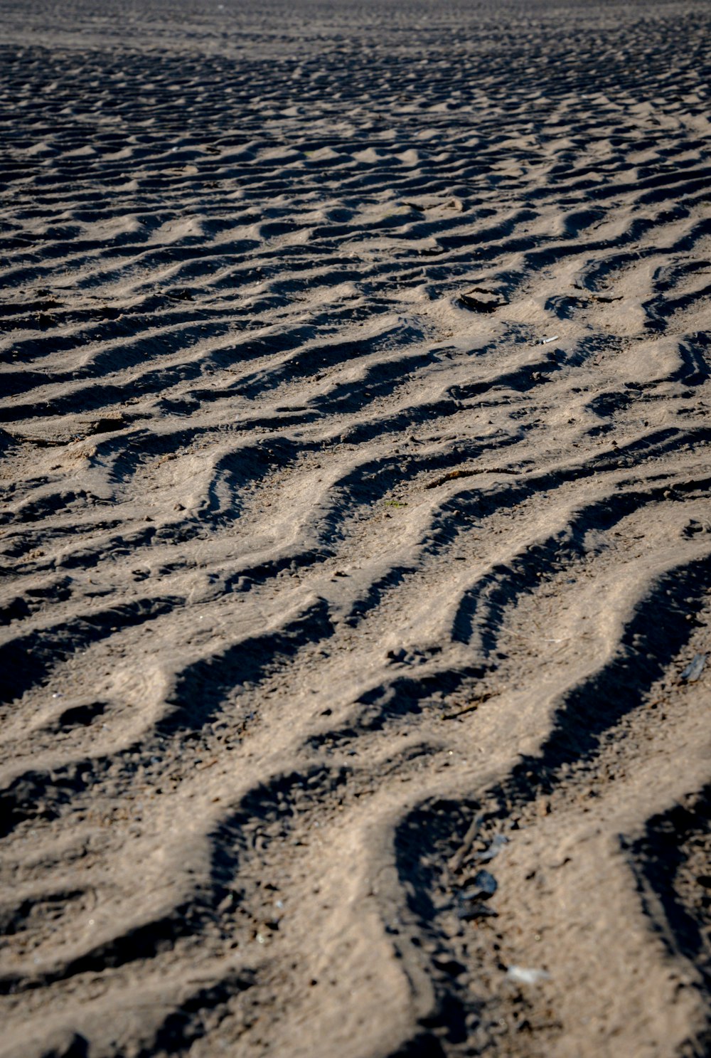 a sandy beach with tracks in the sand