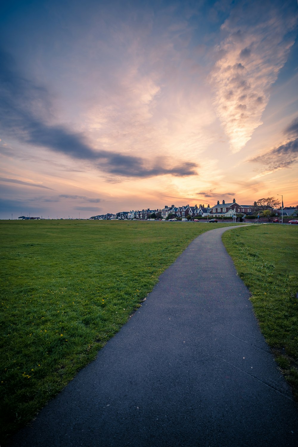 a path in a grassy field leading to a town