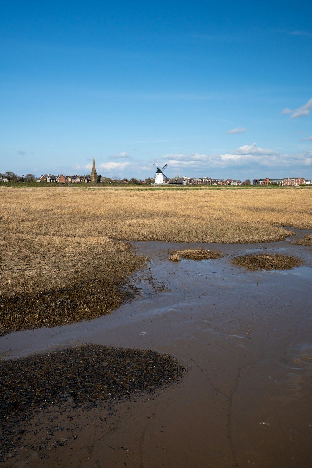 a large field with a windmill in the distance