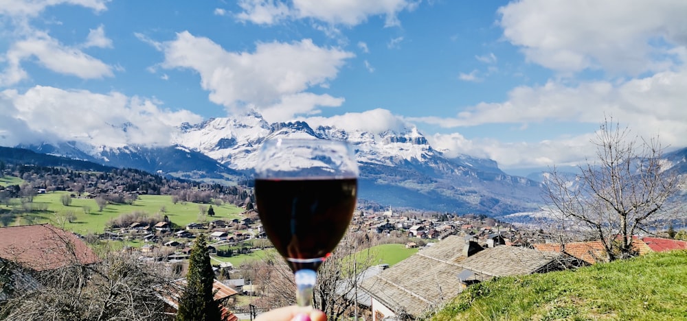 a person holding a wine glass in front of a mountain