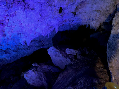 Close-up of a rare Pokémon appearing in a sparkling cave setting.