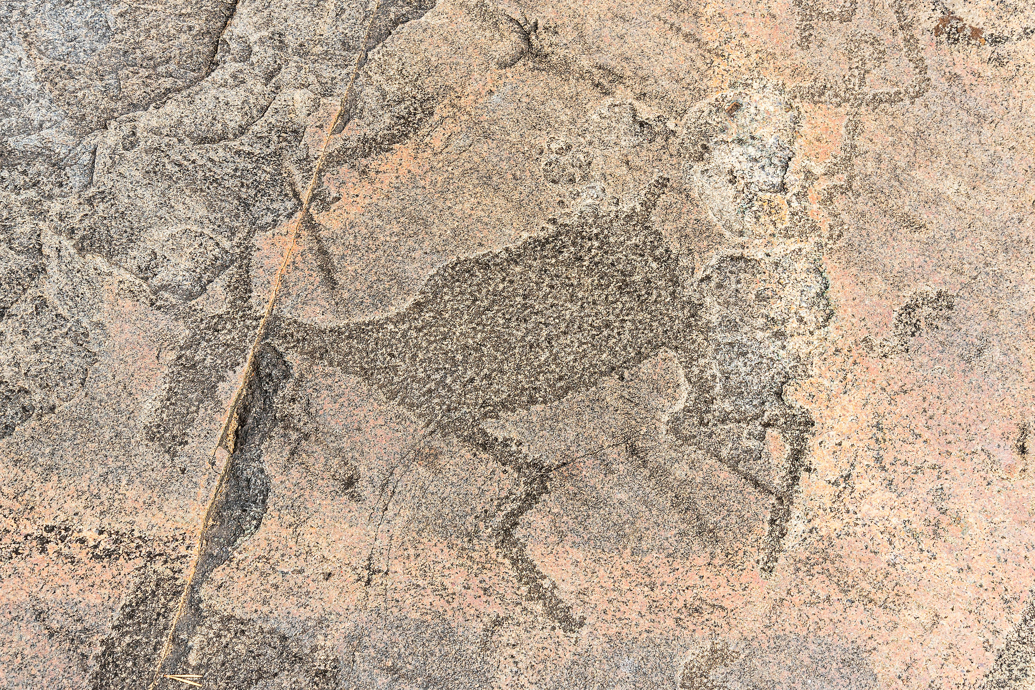 Pétroglyphes mongols