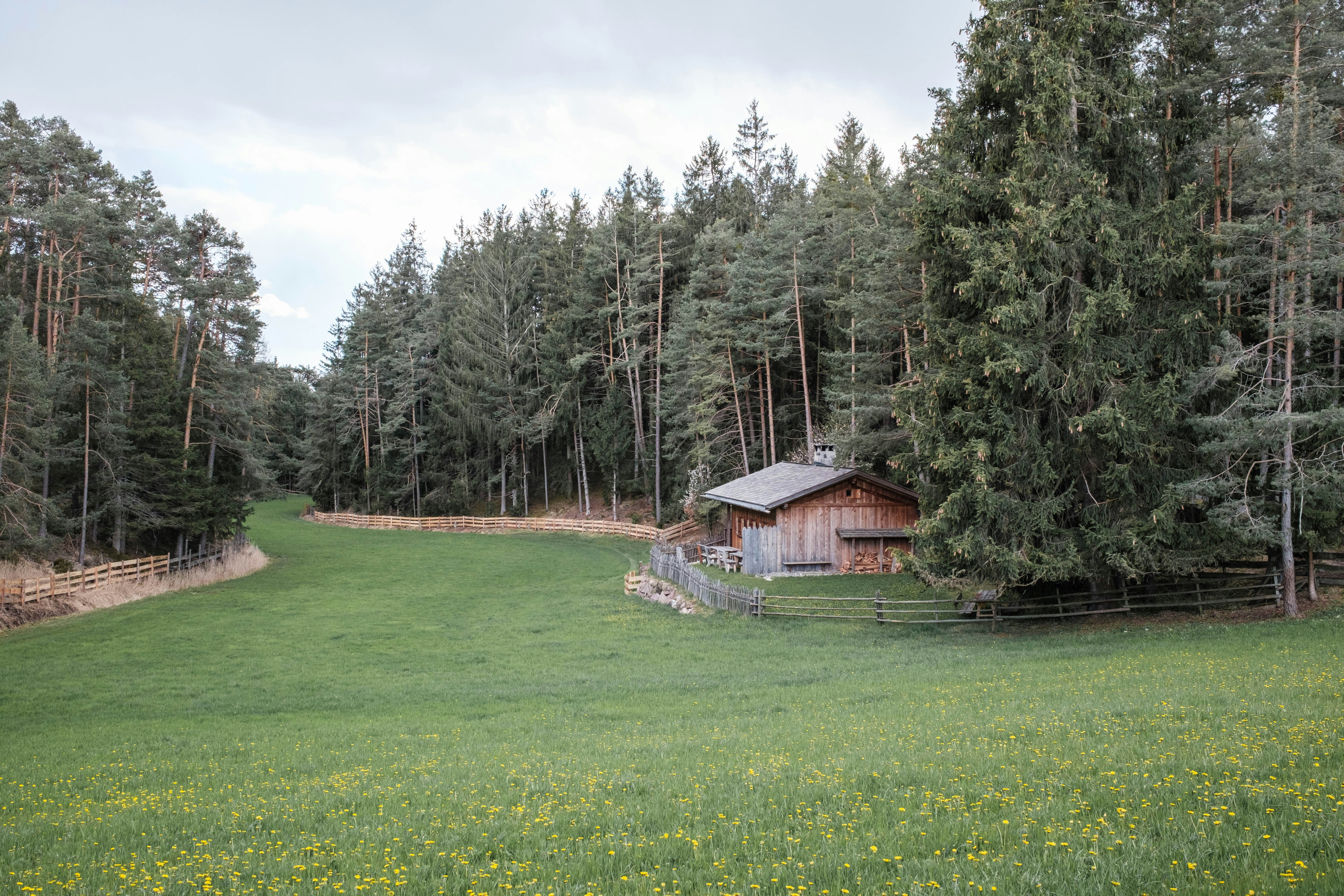 Photo by tomashirsch