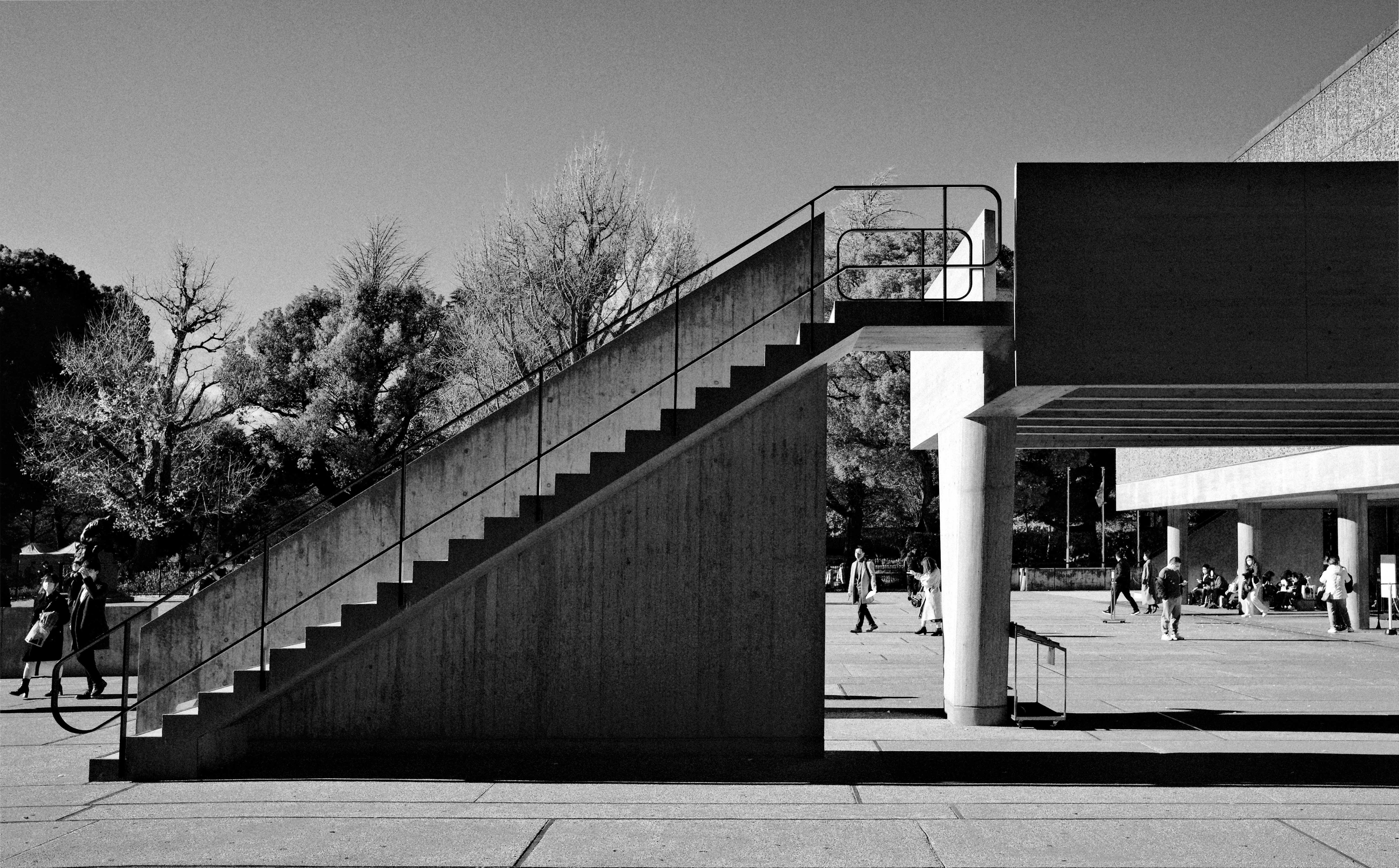 The Futility of Spot Reduction: What Nutrition Can and Cannot Target