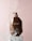 A brown bottle of Moroccan Argan Oil conditioner is positioned on a white pedestal against a soft pink background. Water splashes around the bottle, giving a dynamic and refreshing feel.