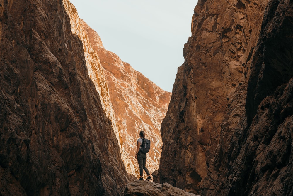 a person standing on a rock in a canyon