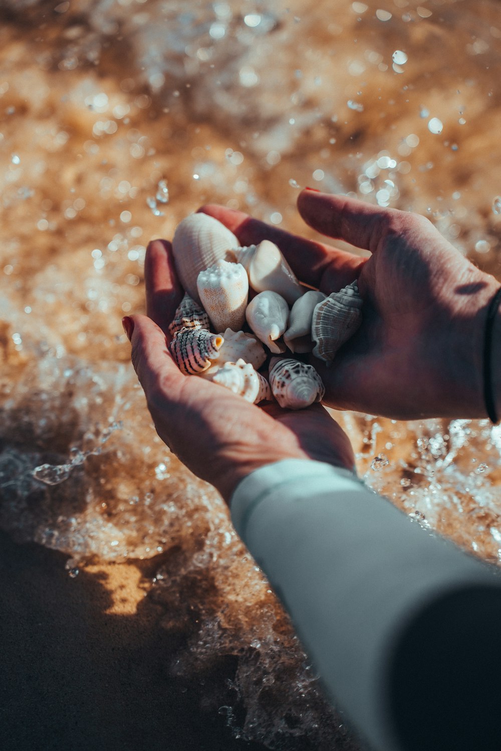 a person holding a handful of shells in their hand