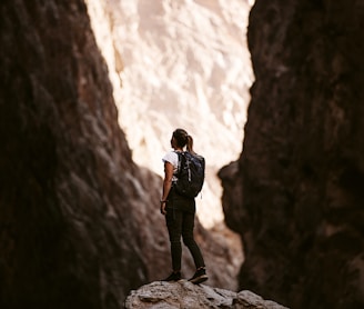 a person standing on a rock in a canyon