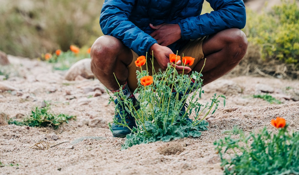 a man kneeling down in a field of orange flowers