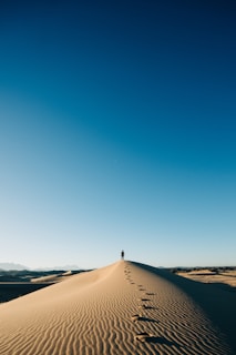 a person standing on top of a sand dune