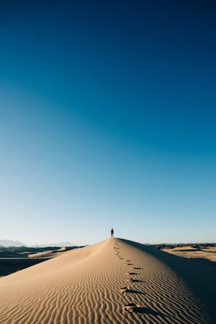 A lone traveler pausing to absorb the vast desert under a clear blue sky.