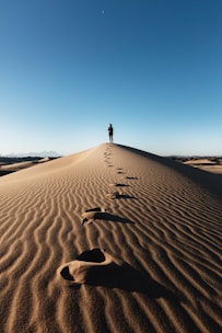 a person standing on top of a sand dune