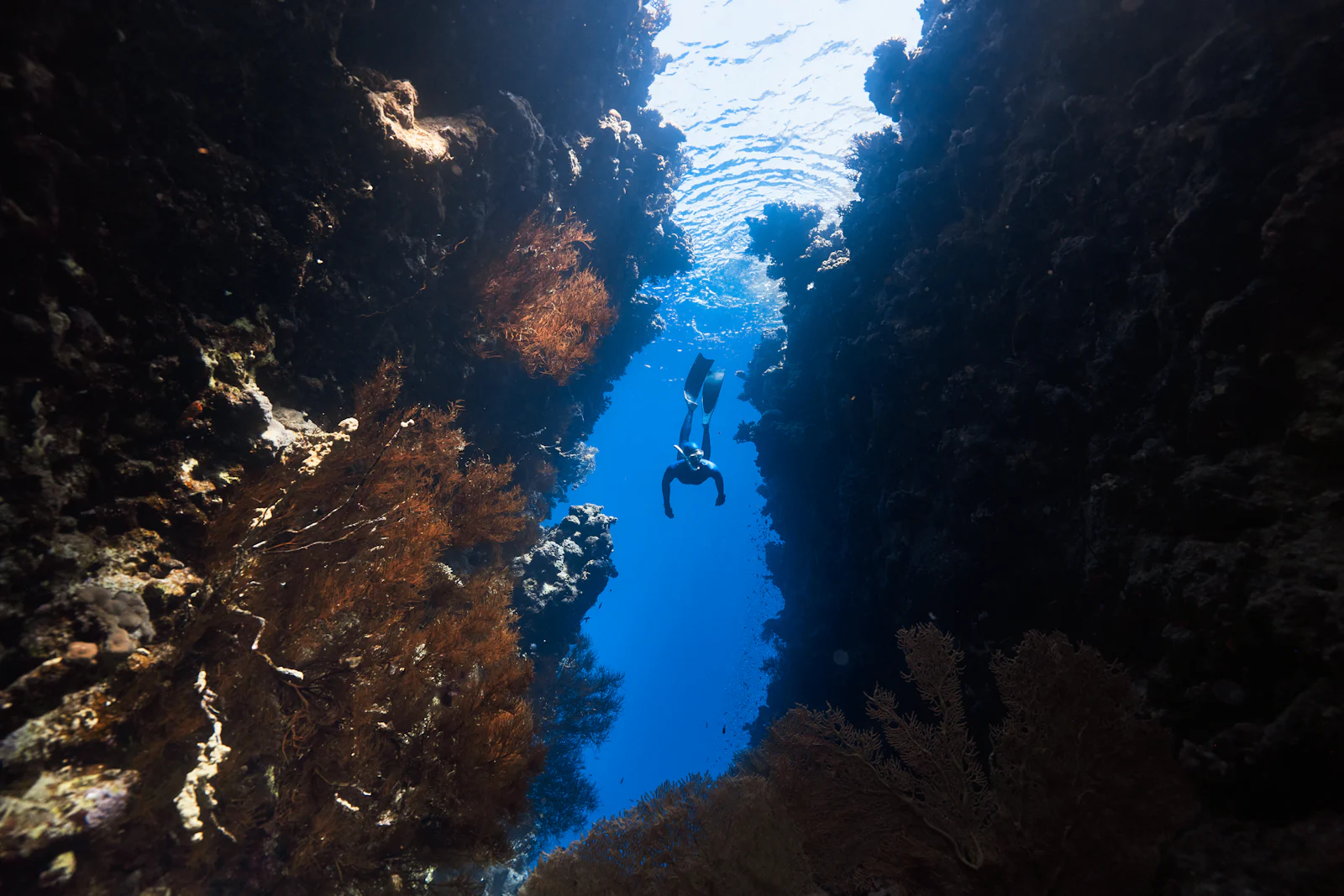 Divers silhouetted above a channel between two coral walls