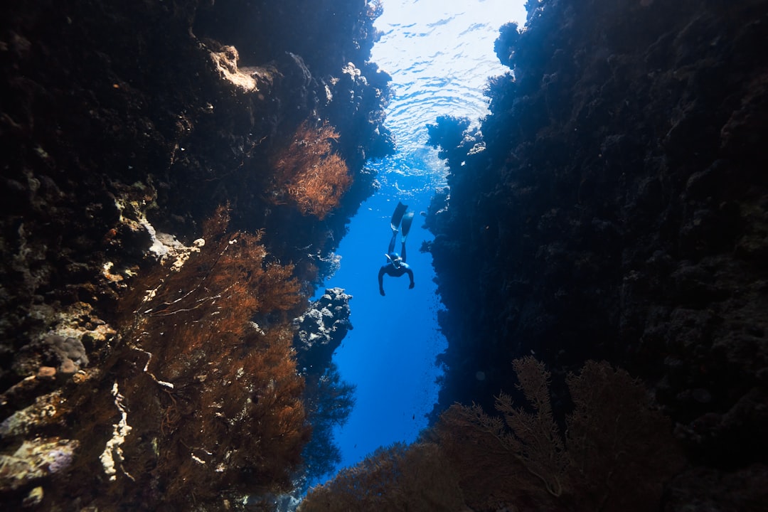 7 Hidden Gems for Beginner Scuba Divers Off-the-Beaten-Path Destina… — 7 Hidden Gems for Beginner Scuba