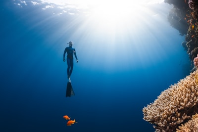 A diver wearing a wetsuit and fins is underwater near a coral reef. Sunlight penetrates the water, illuminating the scene. Two small orange fish are swimming near the coral.