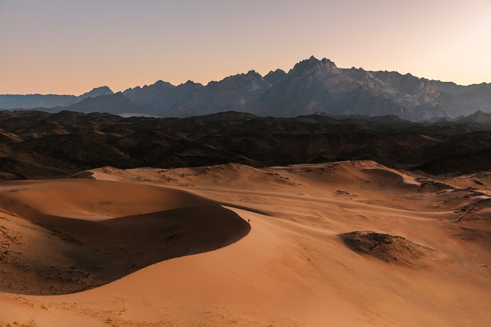 a desert landscape with mountains in the distance