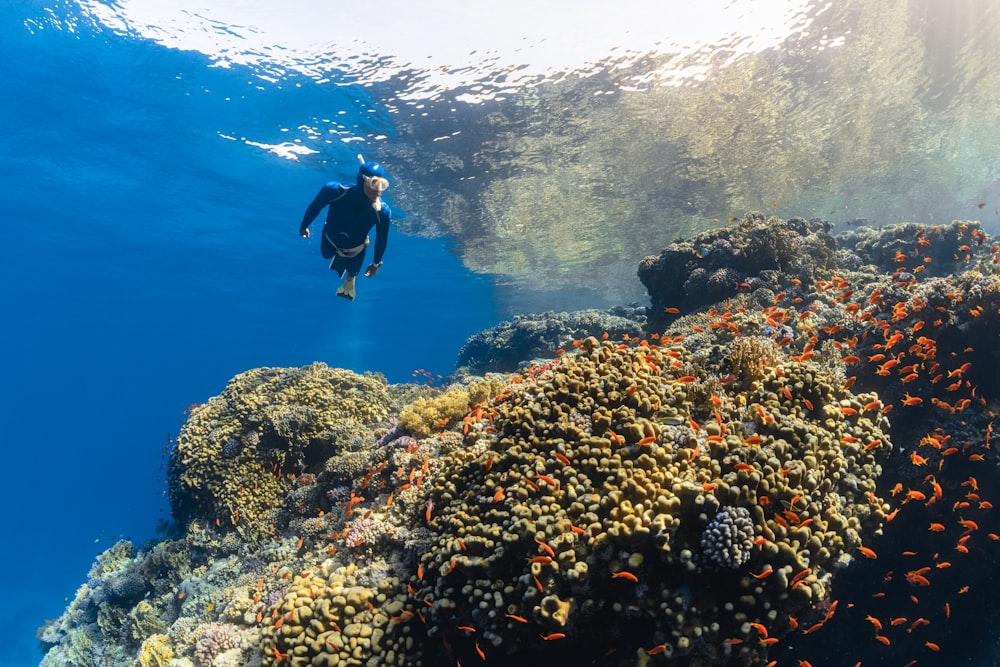 海のサンゴ礁の上を泳ぐ男