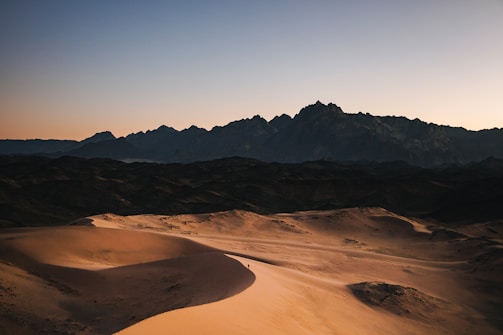 a desert landscape with a mountain range in the background