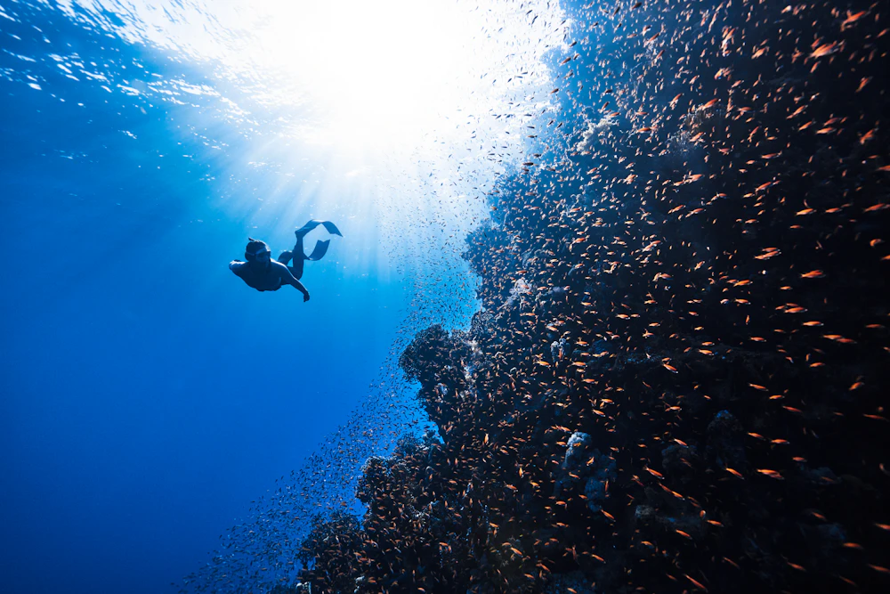 Scuba diver underwater