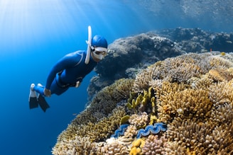 a person in a diving suit and goggles swims over a coral reef