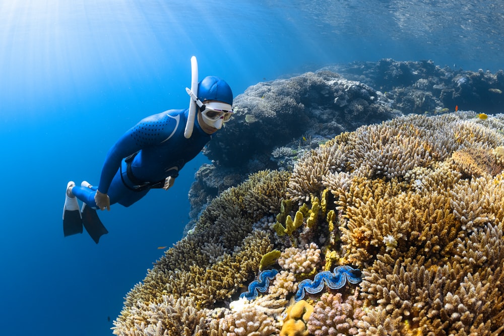 Eine Person in Taucheranzug und Schutzbrille schwimmt über ein Korallenriff