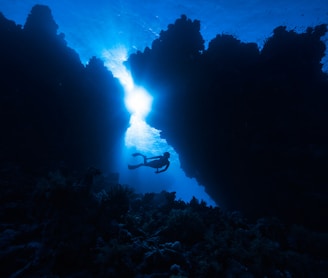 a person swimming in the water near a coral reef