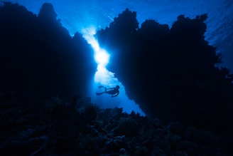 a person swimming in the water near a coral reef