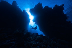 Diver exploring a vibrant underwater cave filled with marine life in the protected zone of Isla Isabel.