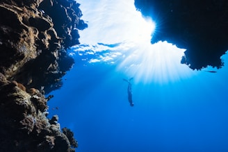 a person free diving in the water near a cave