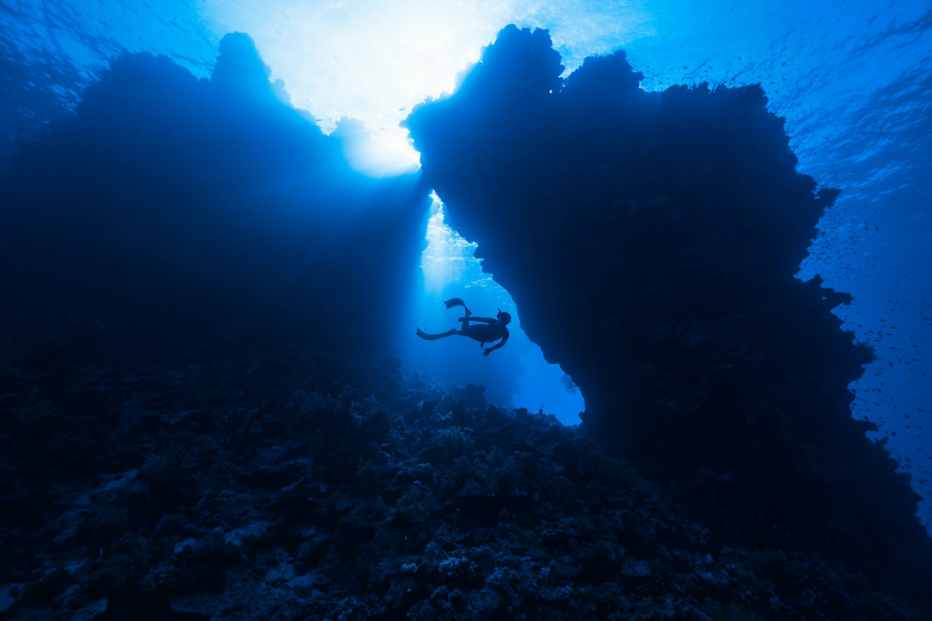 A certified diver exploring an underwater cave, surrounded by shimmering rays of sunlight filtering through the water.