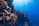 A vibrant underwater scene featuring a diver swimming near a coral reef. The sunlight piercing through the clear blue water creates a serene atmosphere. Various corals and small orange fish populate the foreground, showcasing the rich biodiversity of the marine environment.