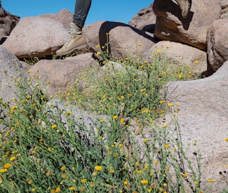 a man with a backpack is running on rocks